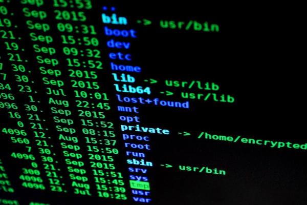 best file sharing software uk